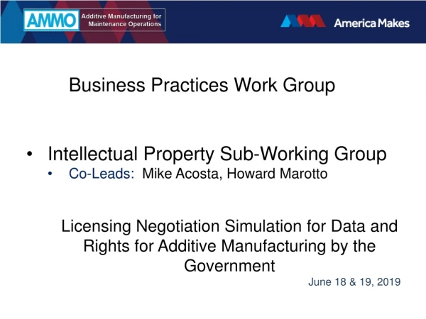 Intellectual Property Sub-Working Group Co-Leads: Mike Acosta, Howard Marotto