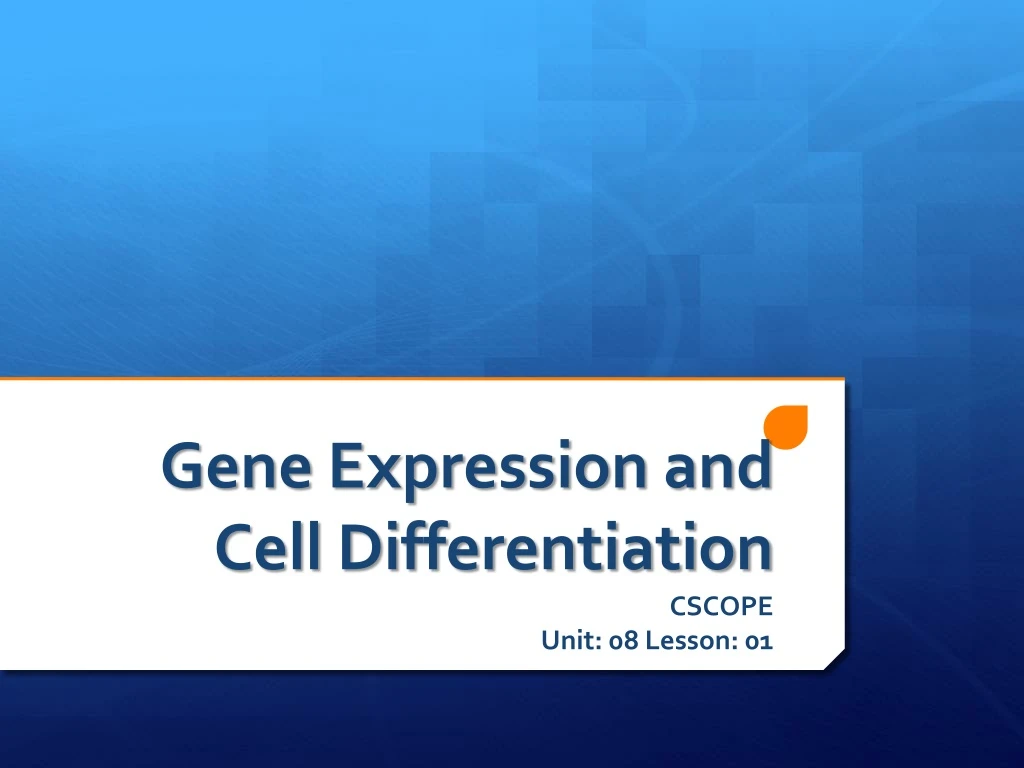 gene expression and cell differentiation