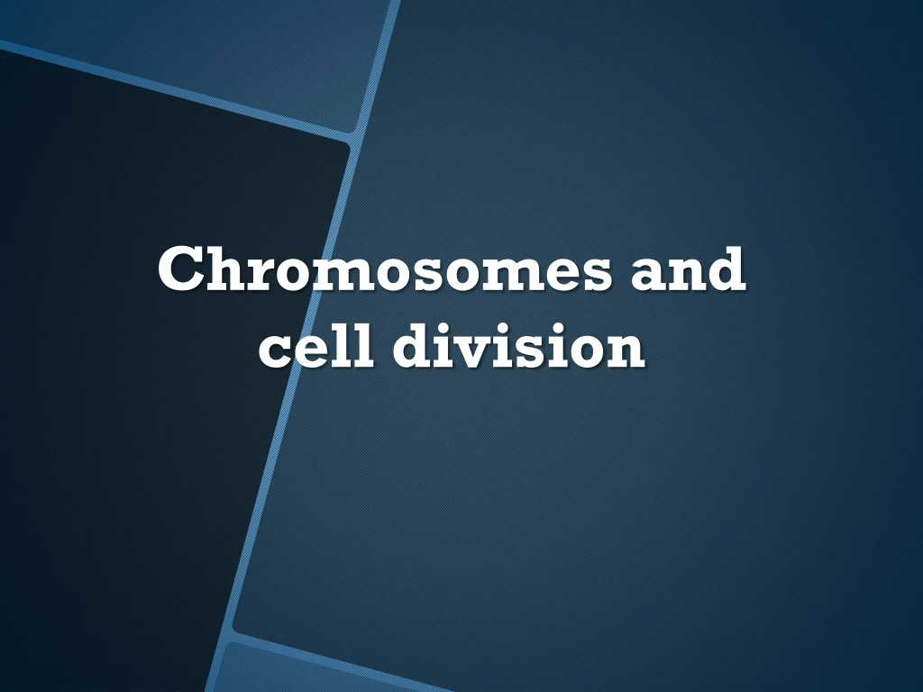 c hromosomes and cell division