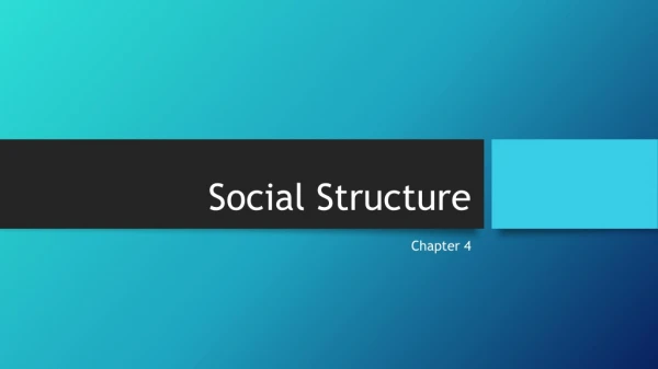 Social Structure