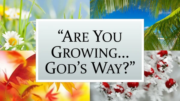 “Are You Growing… God’s Way?”