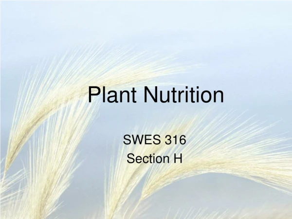 Plant Nutrition