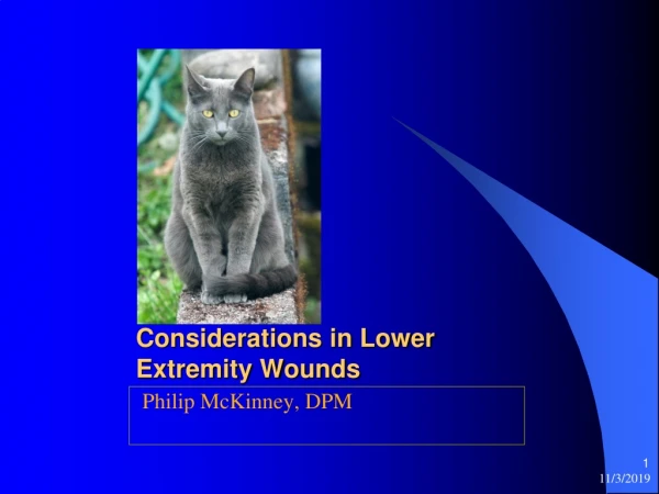 Considerations in Lower Extremity Wounds