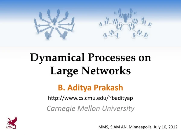 Dynamical Processes on Large Networks