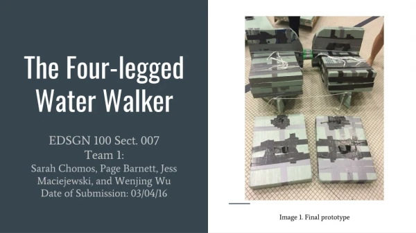 The Four-legged Water Walker
