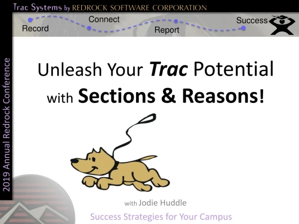 Unleash Your Trac Potential with Sections &amp; Reasons !