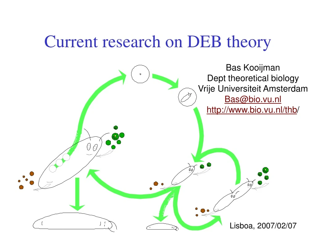 current research on deb theory