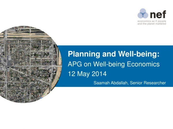 Planning and Well-being: APG on Well-being Economics 12 May 2014