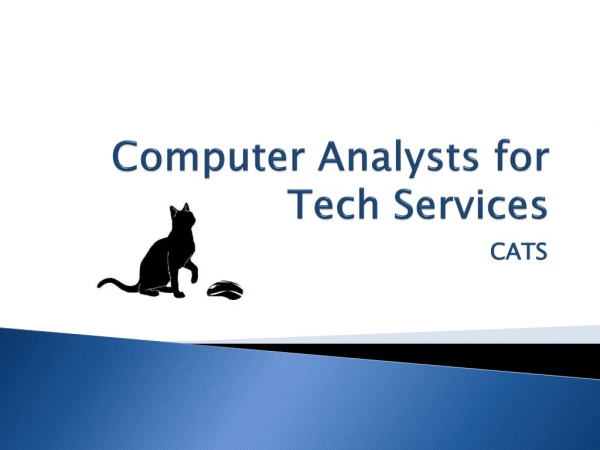 Computer Analysts for Tech Services