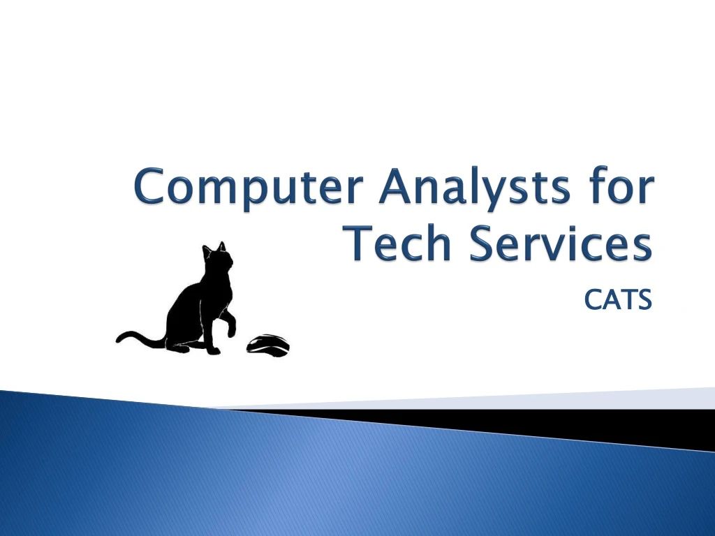 computer analysts for tech services