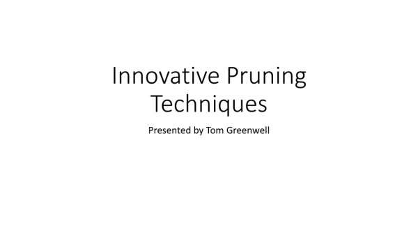 Innovative Pruning Techniques
