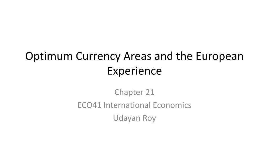 optimum currency areas and the european experience