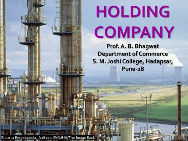 HOLDING COMPANY Prof. A. B. Bhagwat Department of Commerce