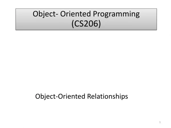 Object- Oriented Programming ( CS206)