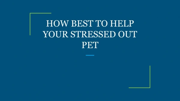 HOW BEST TO HELP YOUR STRESSED OUT PET