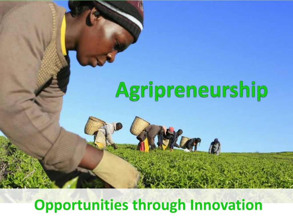 agripreneurship