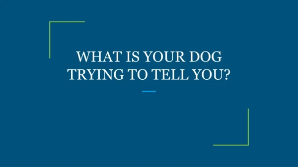 WHAT IS YOUR DOG TRYING TO TELL YOU?