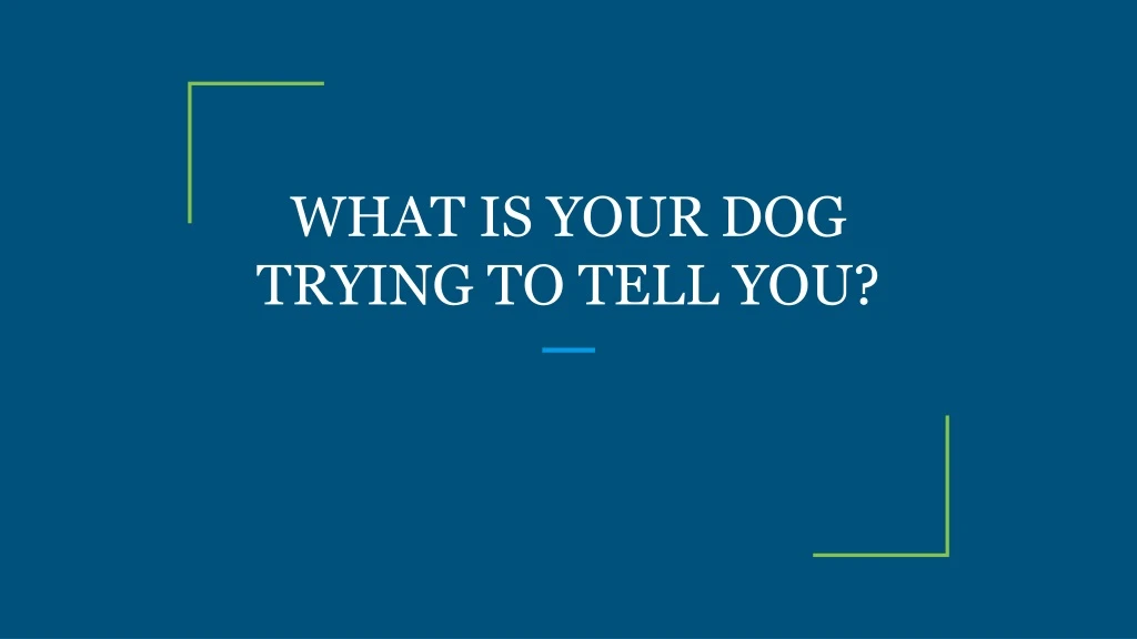 what is your dog trying to tell you