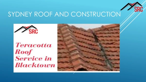 Get Terracotta Roof Service in Black town