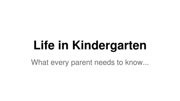 Life in Kindergarten