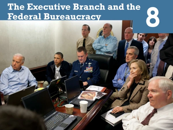 The Executive Branch and the Federal Bureaucracy