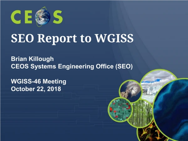 SEO Report to WGISS