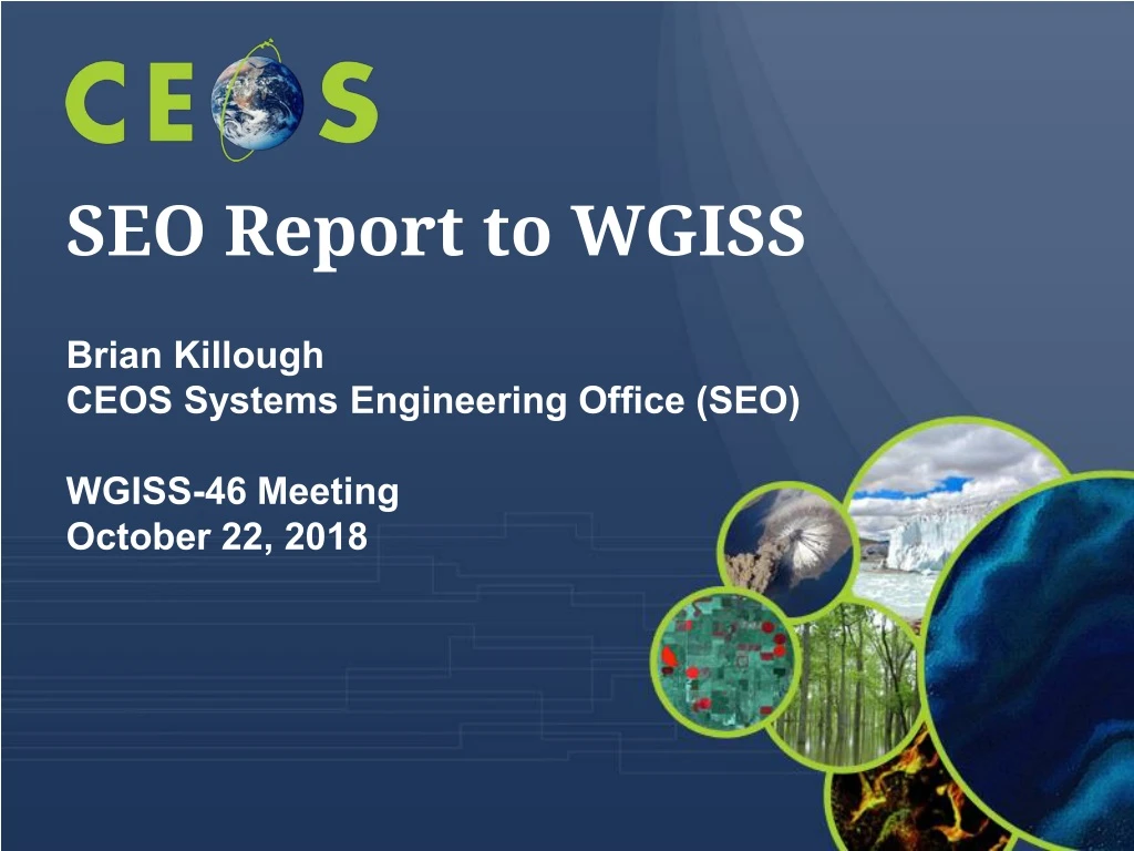 seo report to wgiss