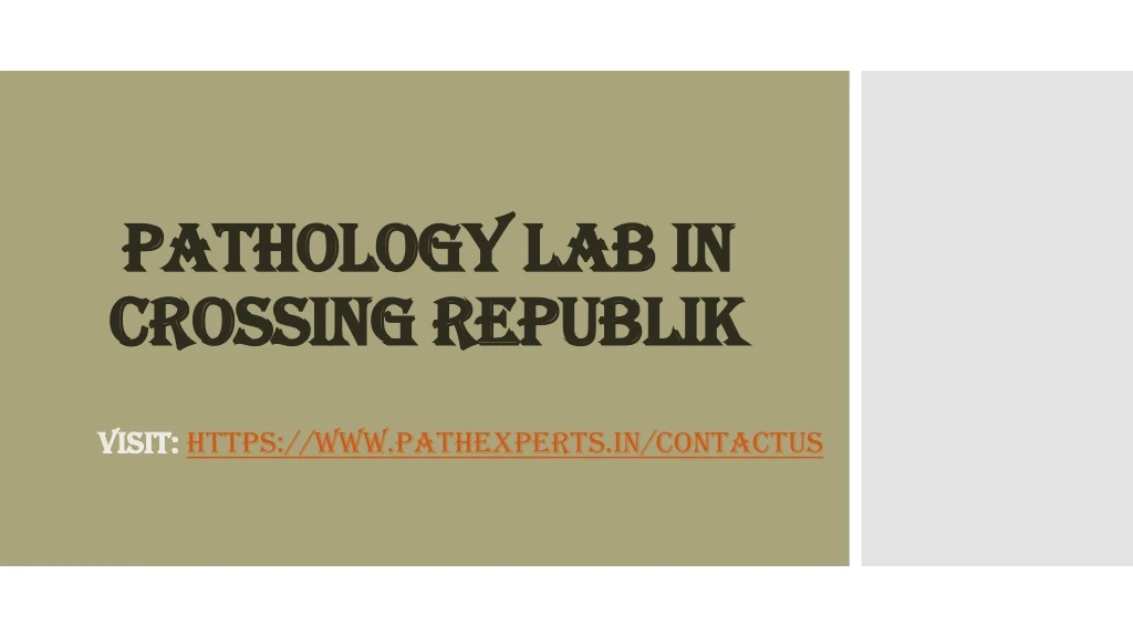 pathology lab in crossing republik