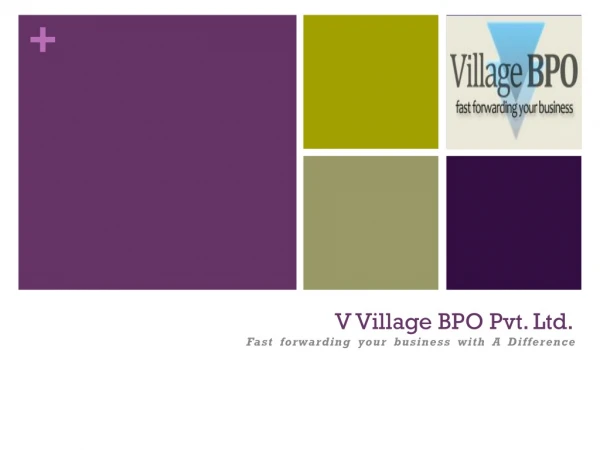 V Village BPO Pvt. Ltd.