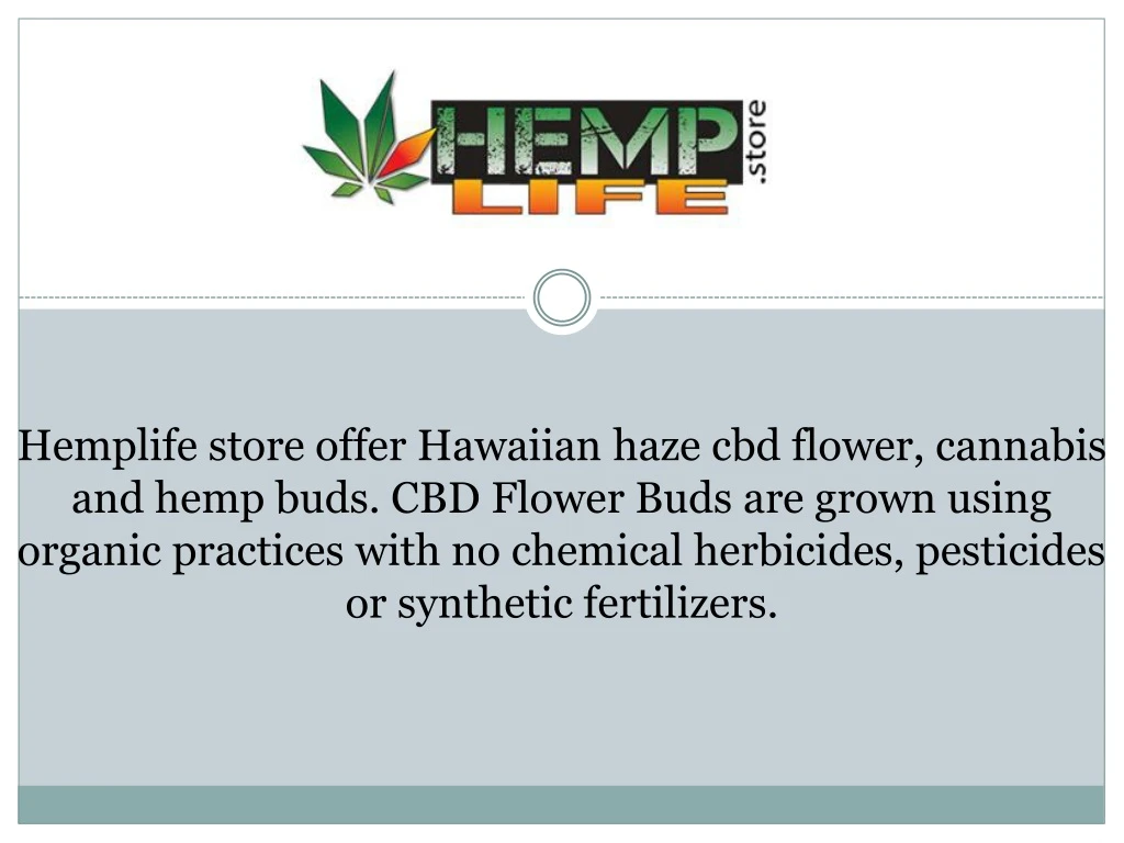hemplife store offer hawaiian haze cbd flower