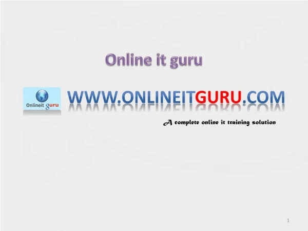 Online it guru