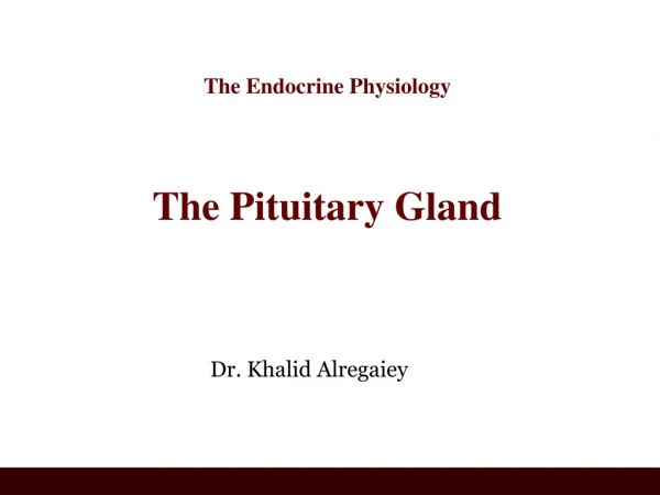 The Endocrine Physiology The Pituitary Gland