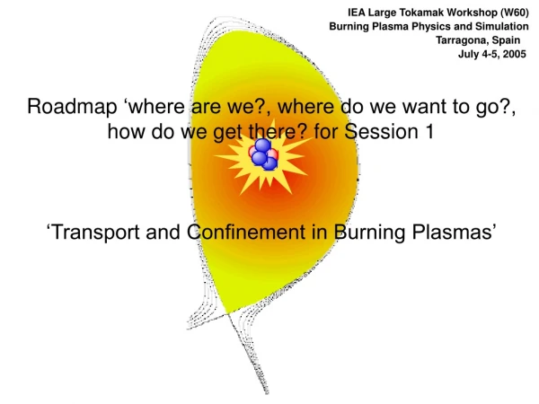 IEA Large Tokamak Workshop (W60) Burning Plasma Physics and Simulation Tarragona, Spain