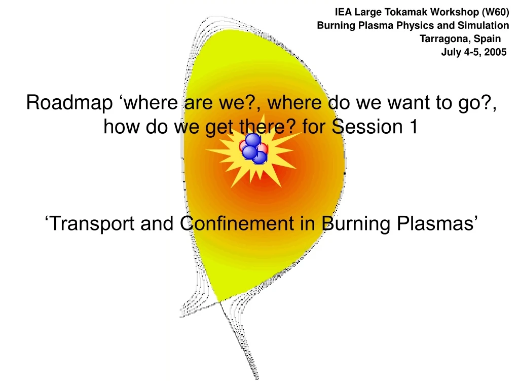 iea large tokamak workshop w60 burning plasma