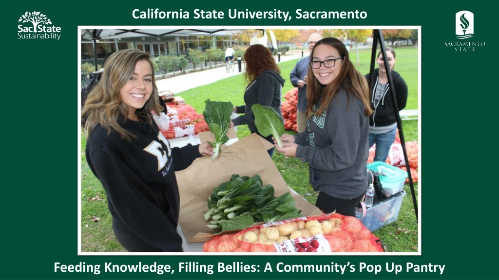 feeding knowledge filling bellies a community s pop up pantry