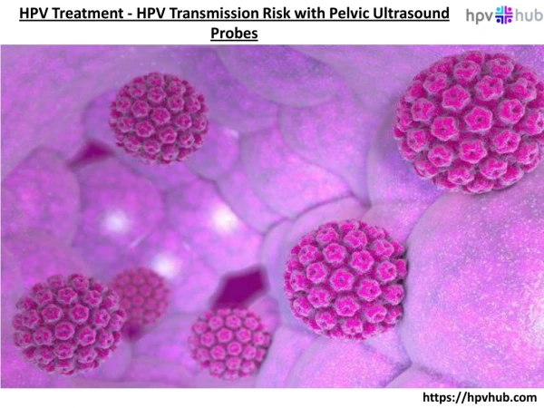 HPV Treatment - HPV Transmission Risk with Pelvic Ultrasound Probes