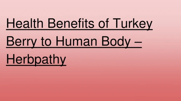 Health Benefits of Turkey Berry to Human Body – Herbpathy