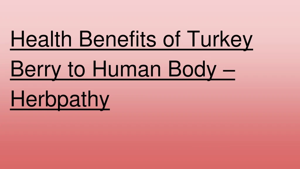 health benefits of turkey berry to human body herbpathy