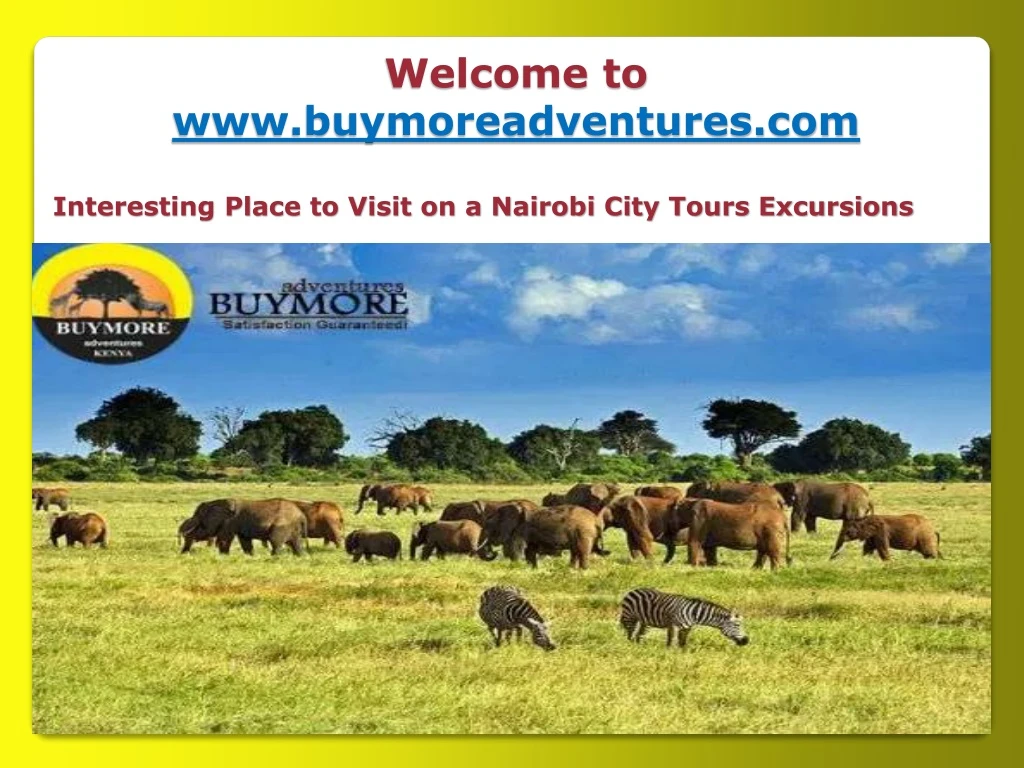 welcome to www buymoreadventures com