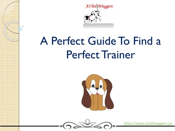 A perfect Guide to find a perfect trainer