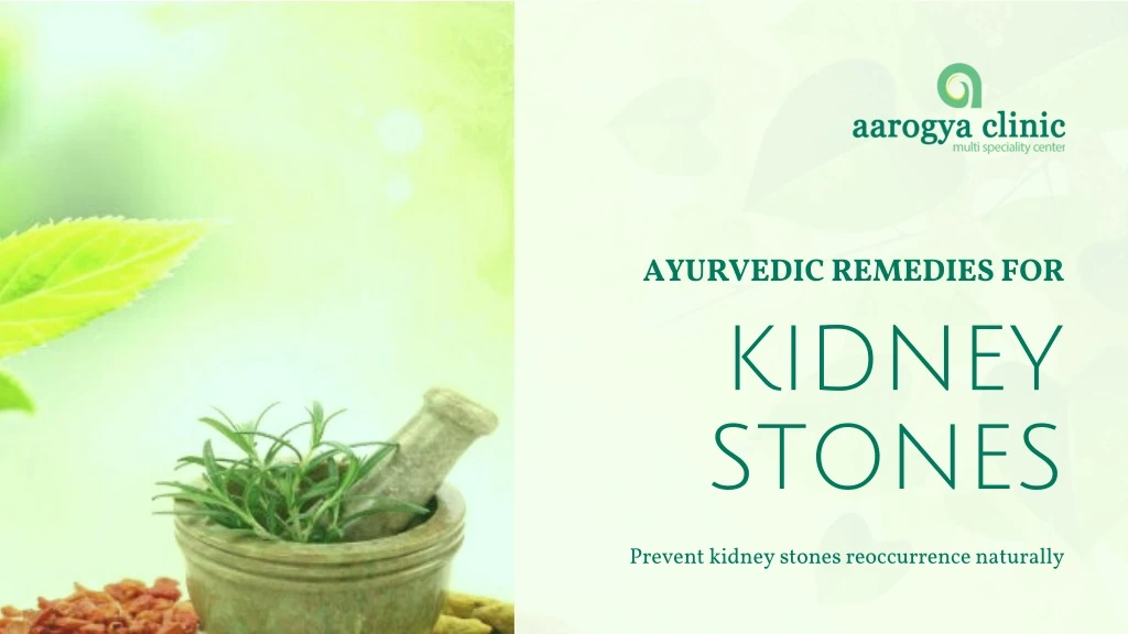 ayu vedic remedies for kidney stones