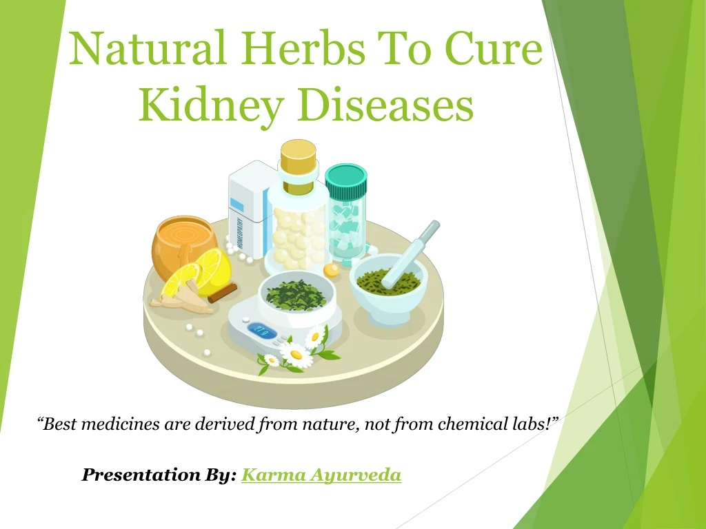 natural herbs to cure kidney diseases