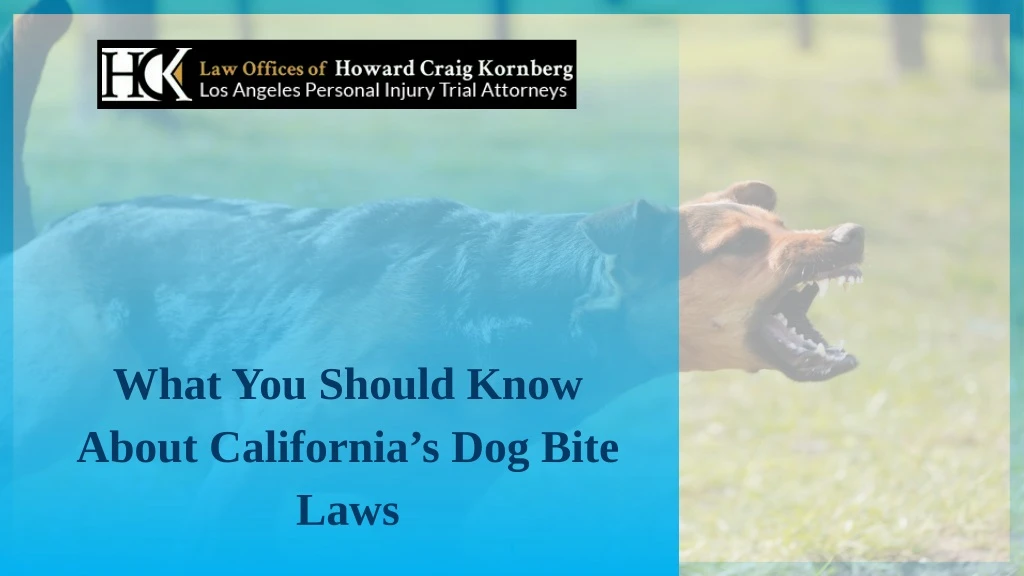 what you should know about california s dog bite
