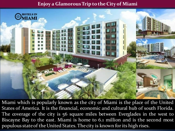Enjoy a Glamorous Trip to the City of Miami
