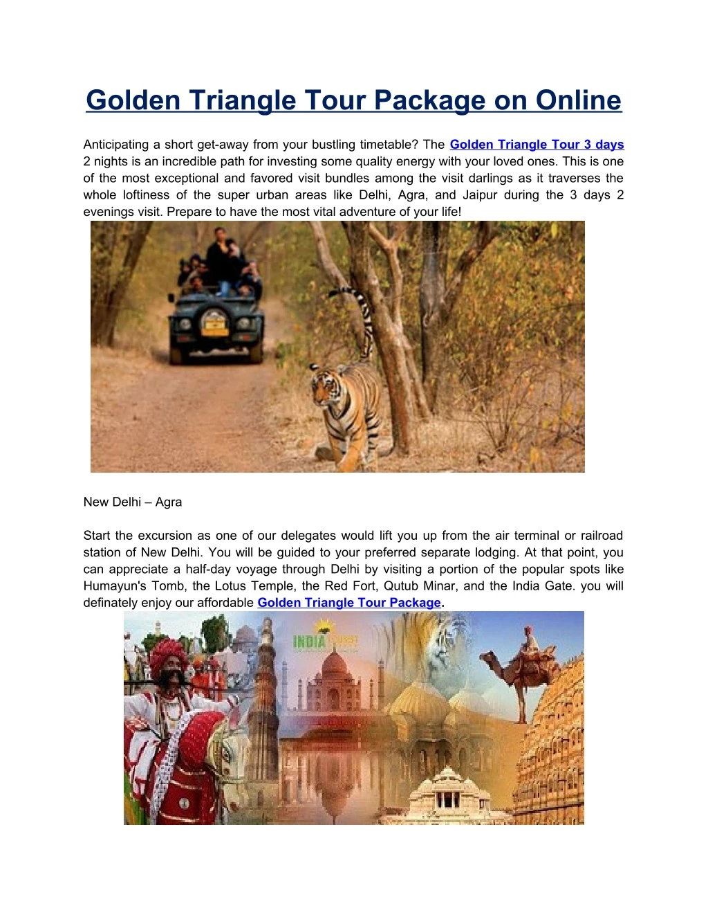 golden triangle tour package on online