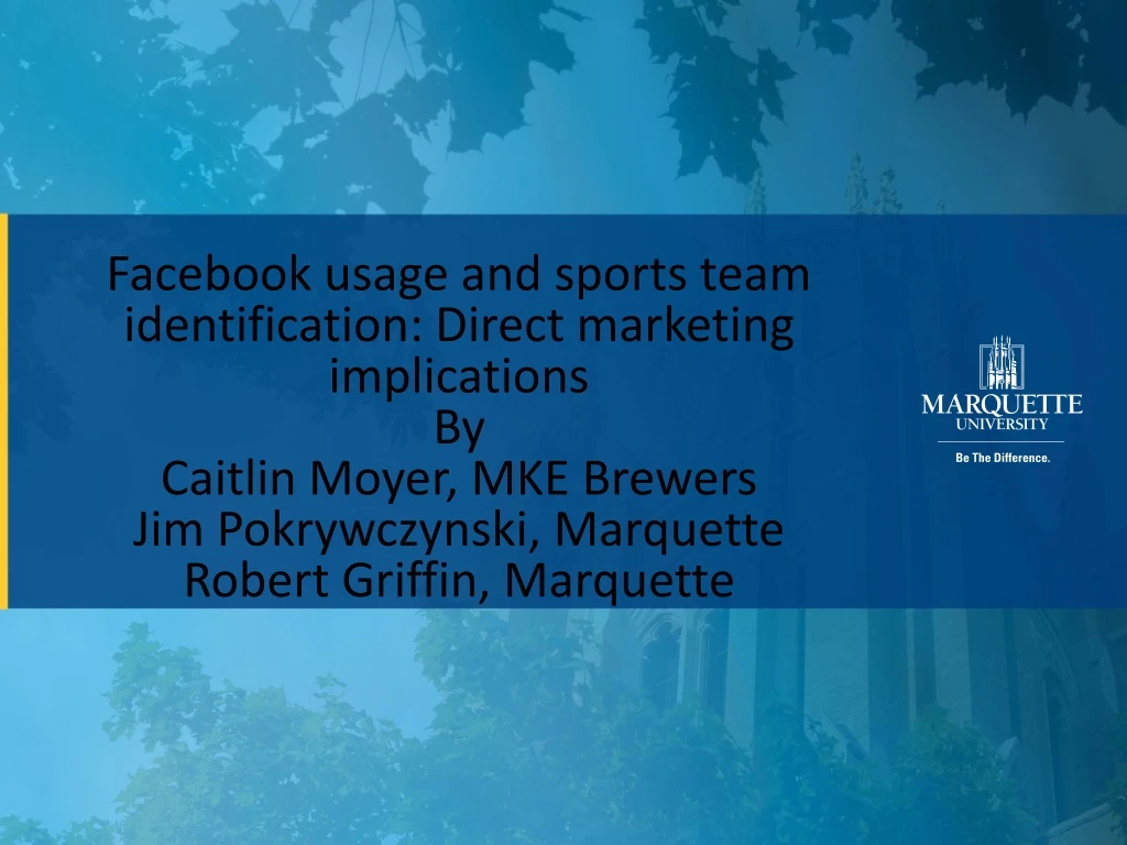 facebook usage and sports team identification