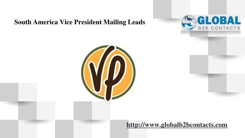 south america vice president mailing leads
