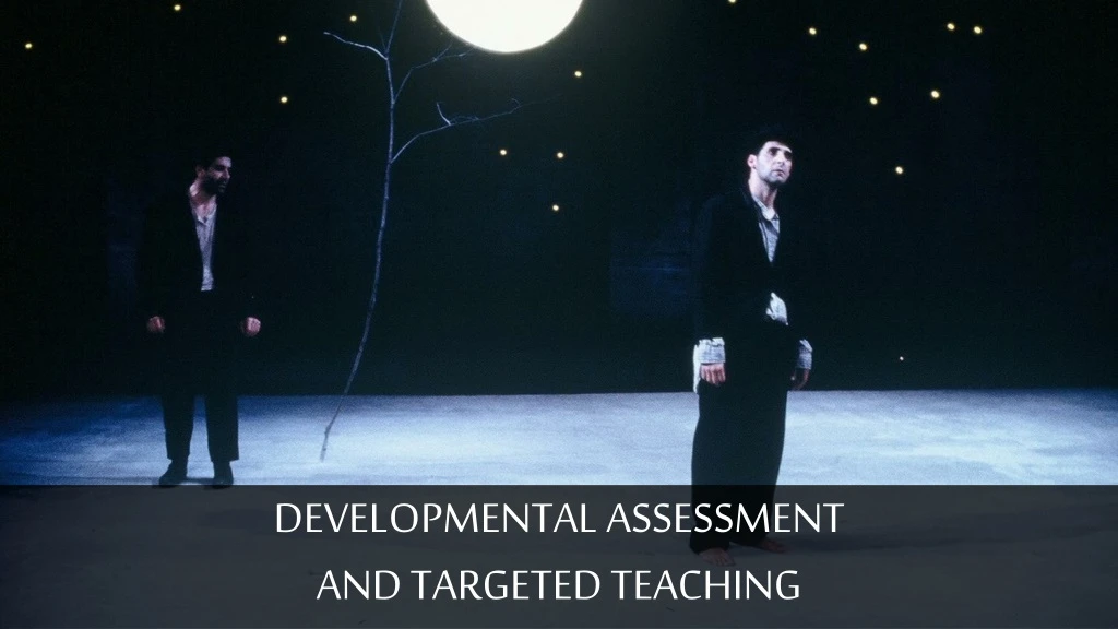 developmental assessment and targeted teaching