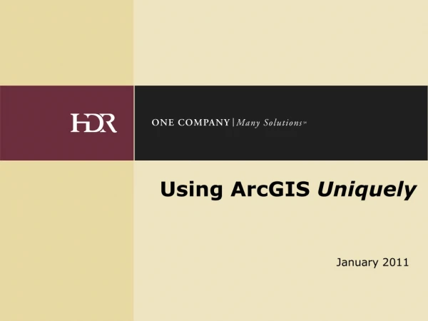 Using ArcGIS Uniquely