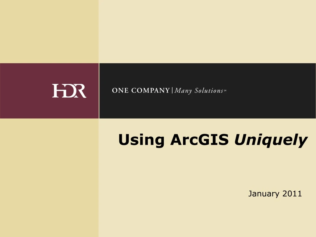 using arcgis uniquely